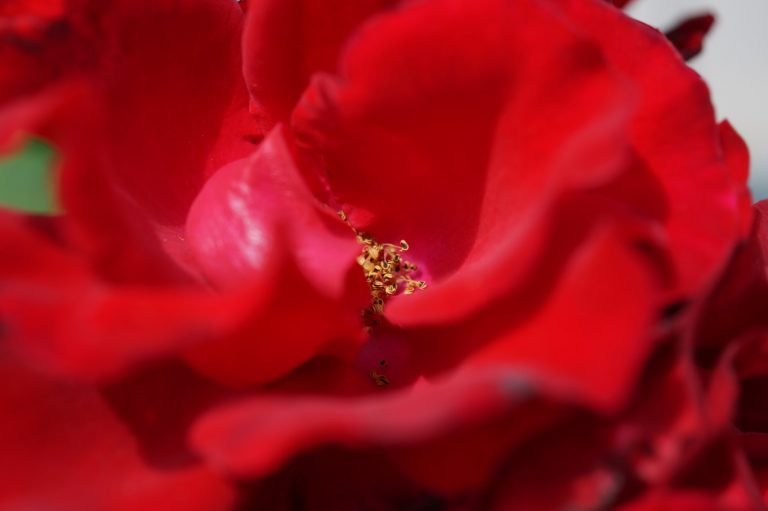 DSC06341