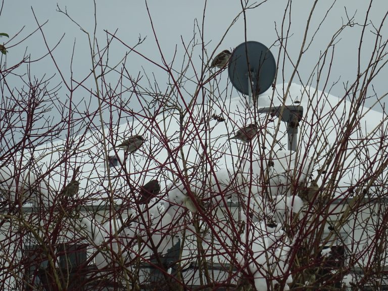DSC01985