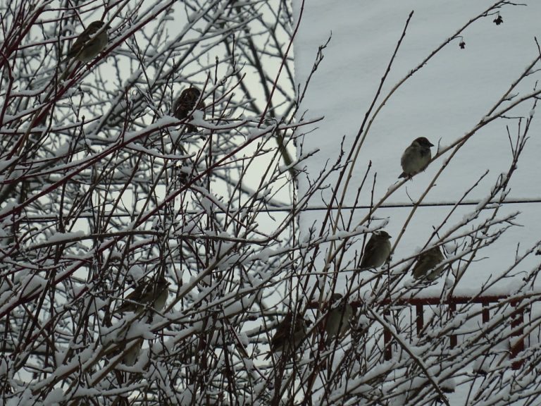 DSC02009