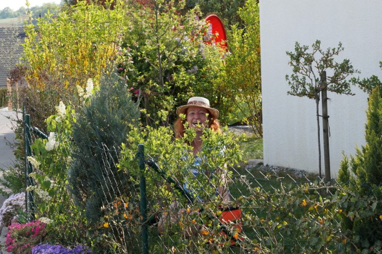 DSC06977