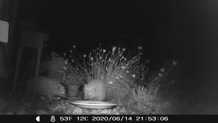IMAG0_ (124)