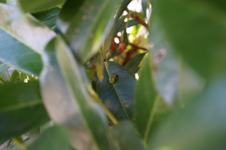 DSC04941
