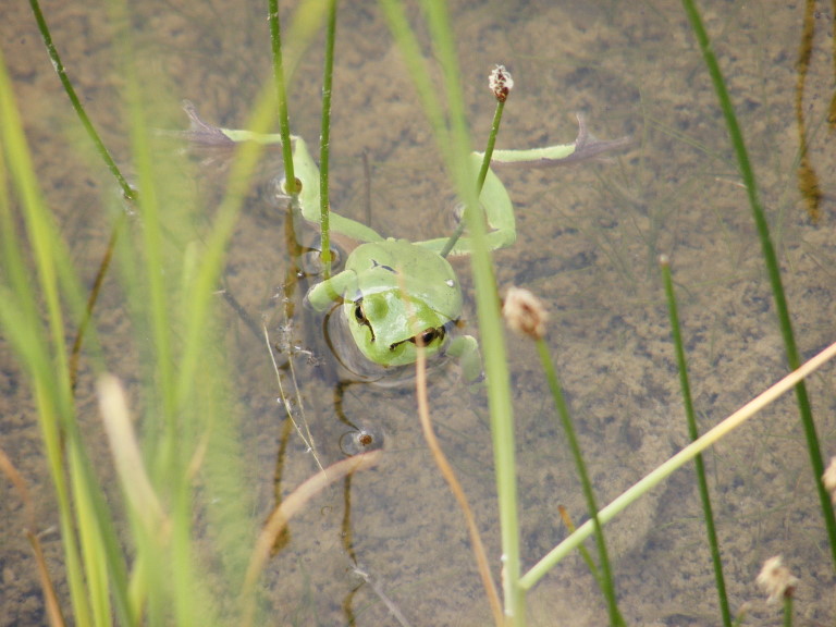 DSCF6831